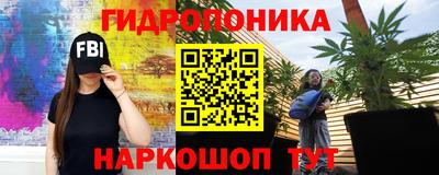 МДПВ Дубна