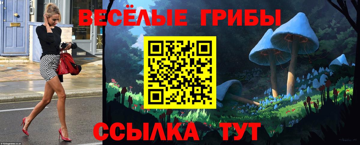Донской  Галлюциногенные грибы Psilocybe  дарнет шоп  Вход с VPN 