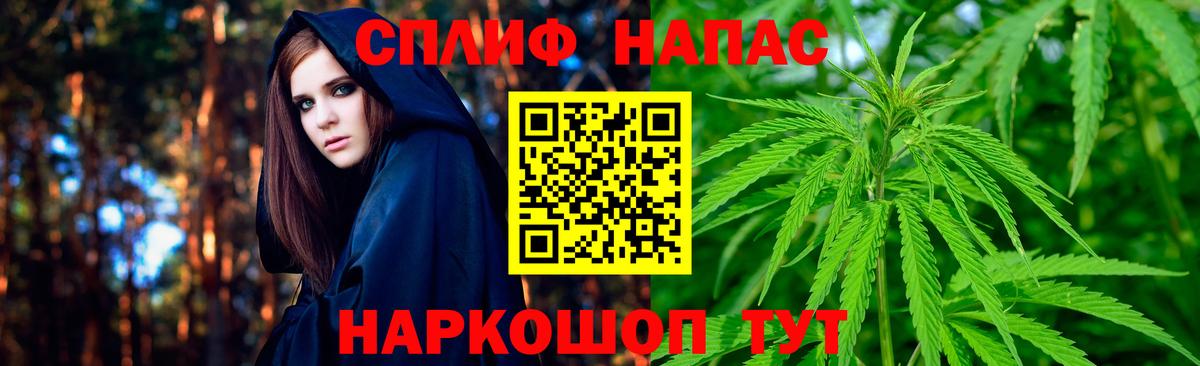 Донской  Каннабис сатива  Каннабис план  Вход с VPN 